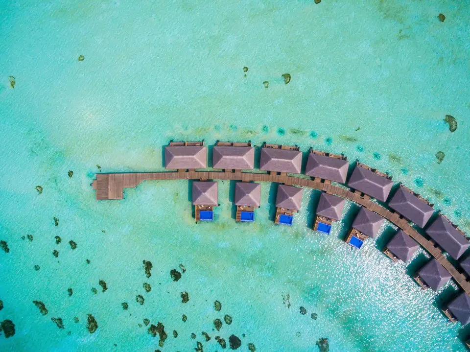 Hotels Cocoon Maldives